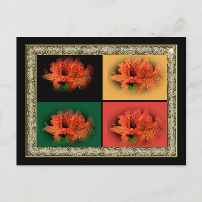 Orange Azaleas Vykort (Framsida)