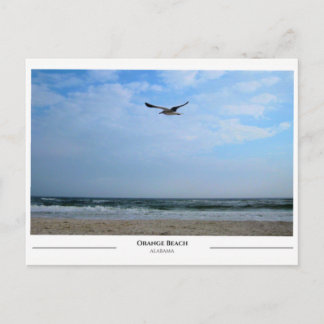 Orange Beach Alabama Vykort