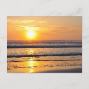 Orange Beach Sunrise Wilbur by Sea FL Postcard Vykort
