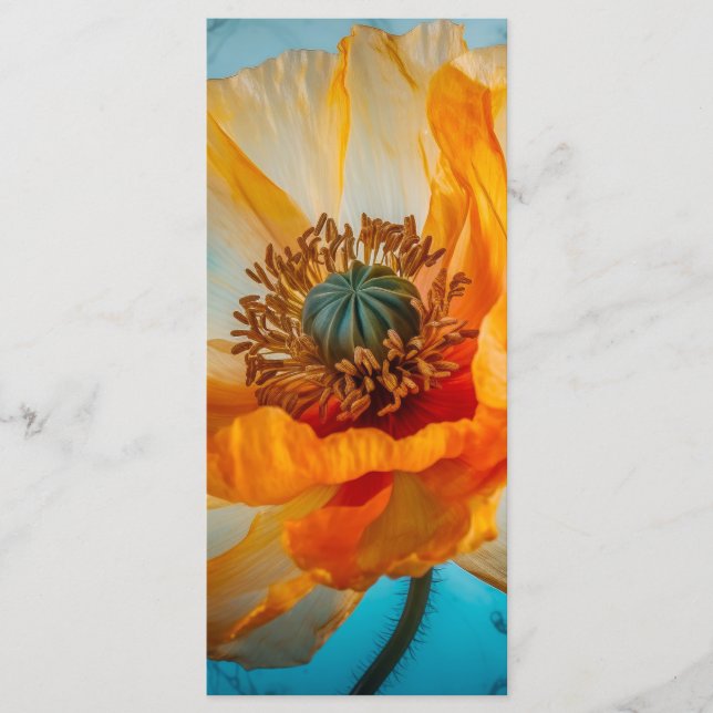Orange Beauty Bookmark Meny (Framsida)