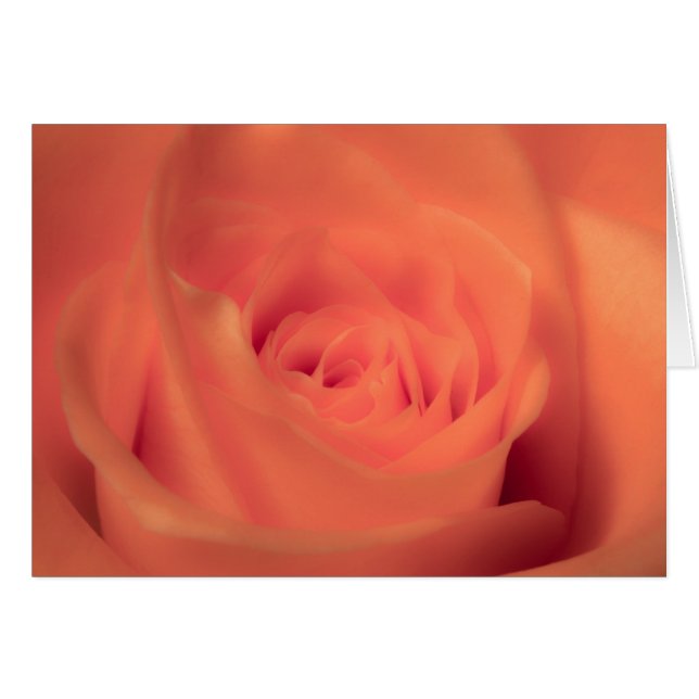 Orange Beauty Hälsningskort (Framsidan Horizontal)