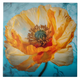 Orange Beauty Kakelplatta