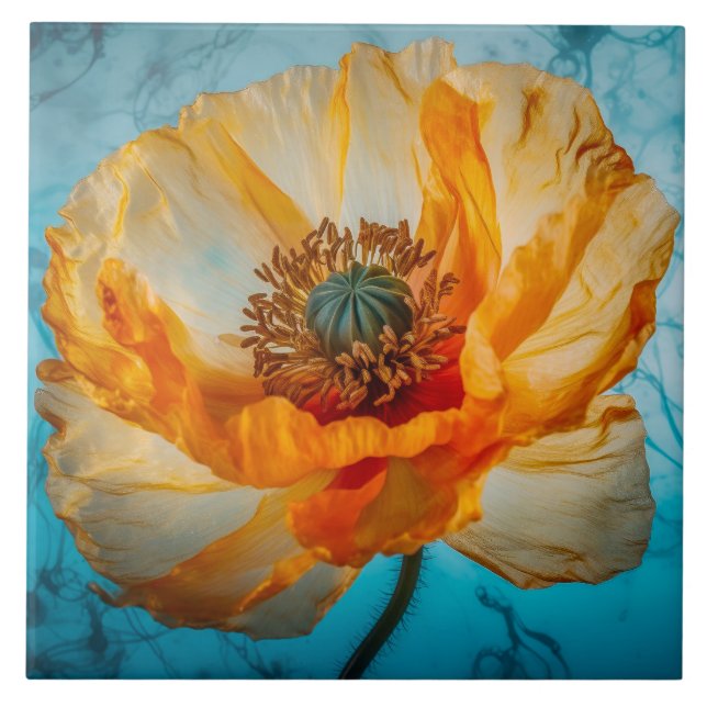 Orange Beauty Kakelplatta (Framsidan)