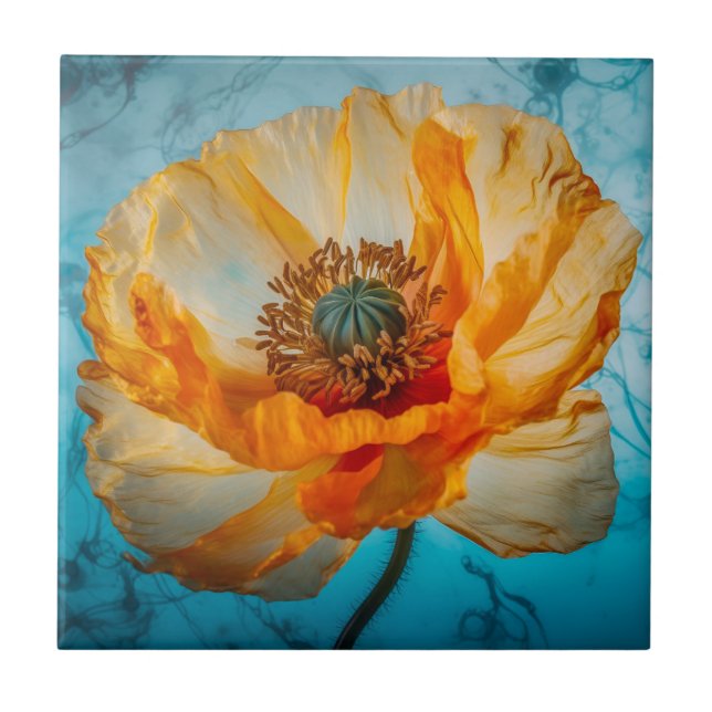 Orange Beauty Kakelplatta (Framsidan)