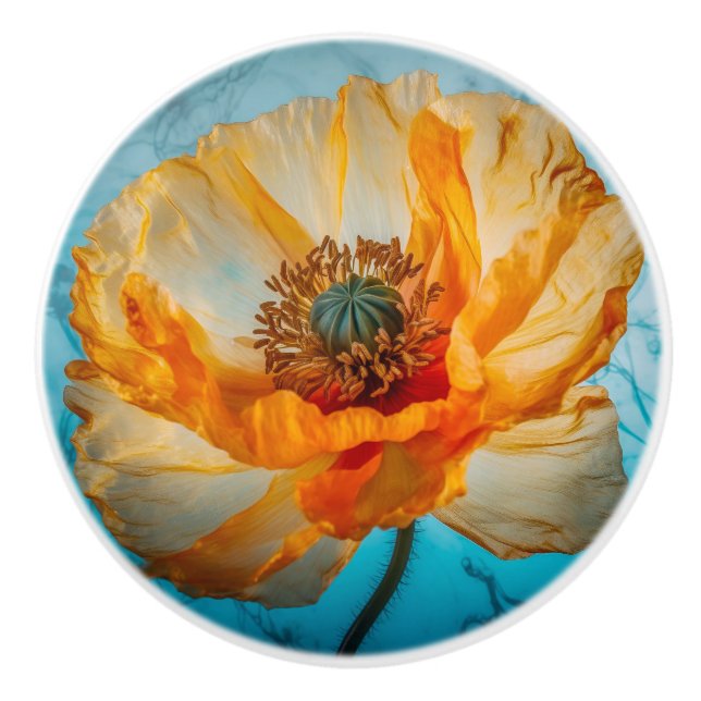 Orange Beauty Knopp (Framsidan)