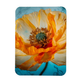 Orange Beauty Magnet