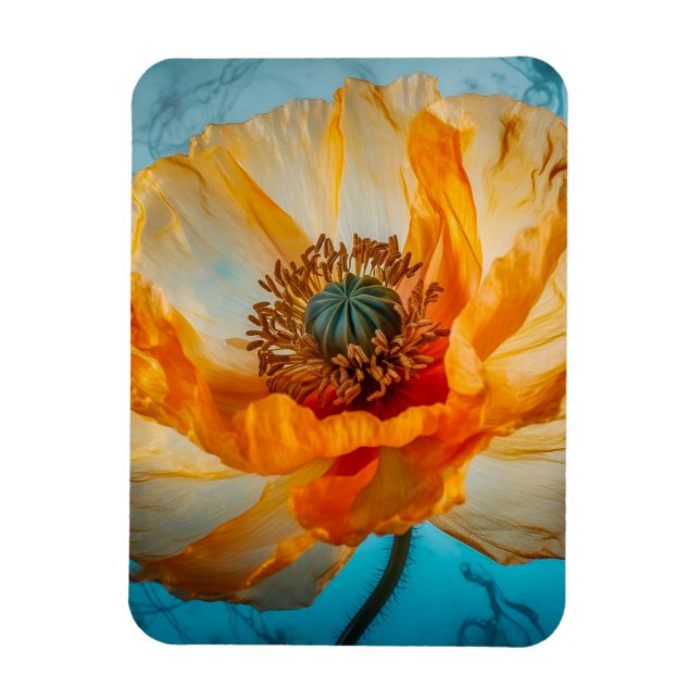 Orange Beauty Magnet (Vertikal)