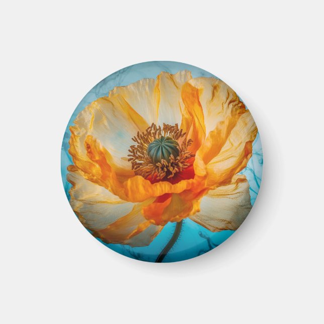 Orange Beauty Magnet (Framsidan)