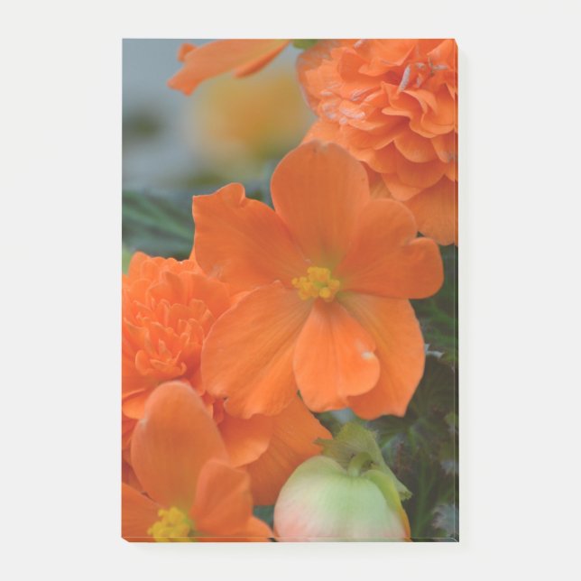 Orange Begonias Post-it Block (Framsida)