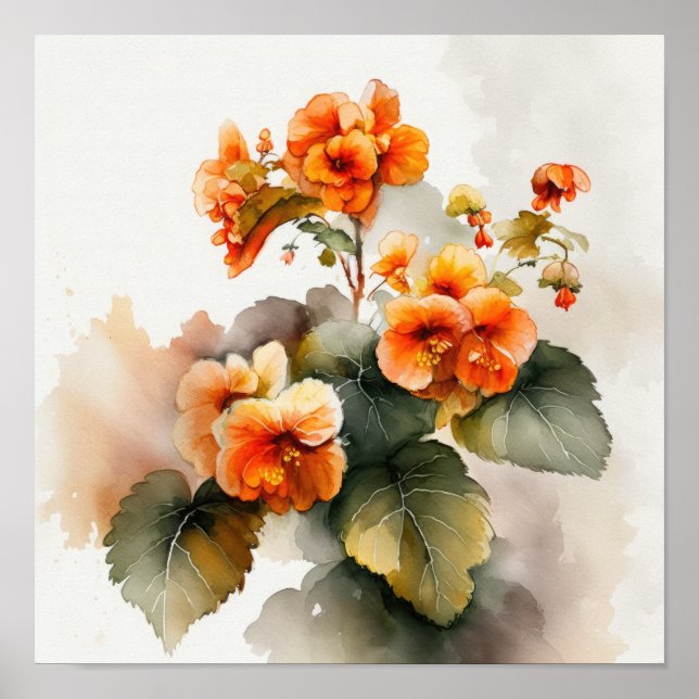 Orange Begonior Blomster Konsttryck Poster (Framsidan)