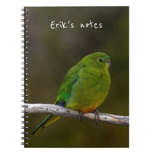 Orange-bellied Parrot Bird Australia Anteckningsbok (Framsidan)