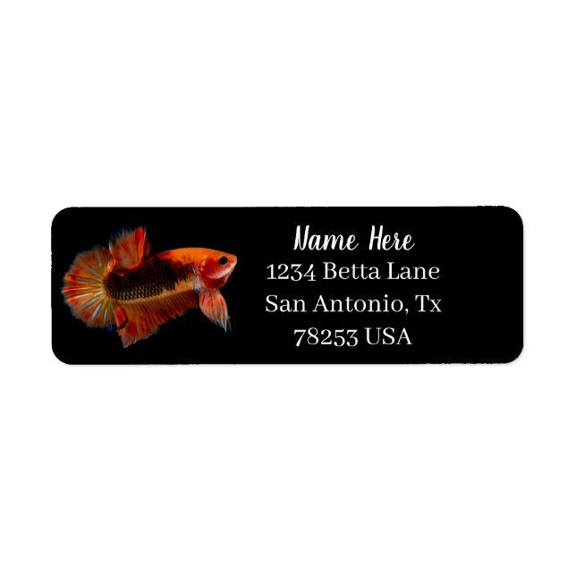 Orange Betta Fighting Fish Returadress Etikett (Framsidan)