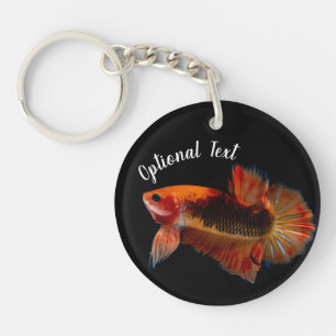 Orange Betta Stridsfisk