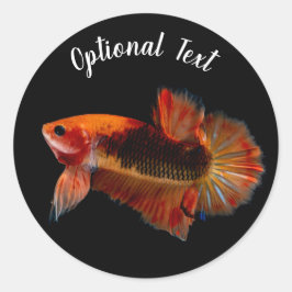 Orange Betta Stridsfisk Runt Klistermärke