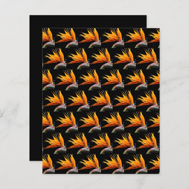 Orange Bird of Paradise Black Scrapbook Paper (Fram/baksida)