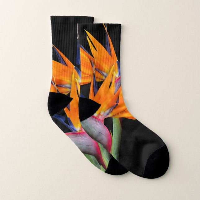Orange Bird of Paradise Flowers Strumpor (Par)