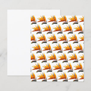 Orange Bird of Paradise Mönster Scrapbook Papper