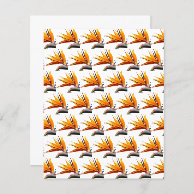 Orange Bird of Paradise Mönster Scrapbook Papper (Fram/baksida)