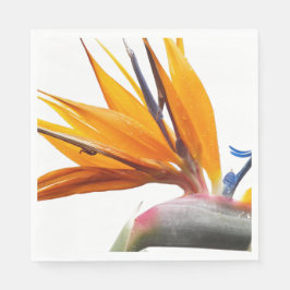 Orange Bird of Paradise Plant Blommigt Pappersservett