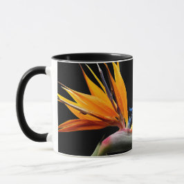 Orange Bird of Paradise Plant Bloom Mugg