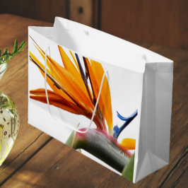 Orange Bird of Paradise Plant Mönster on White