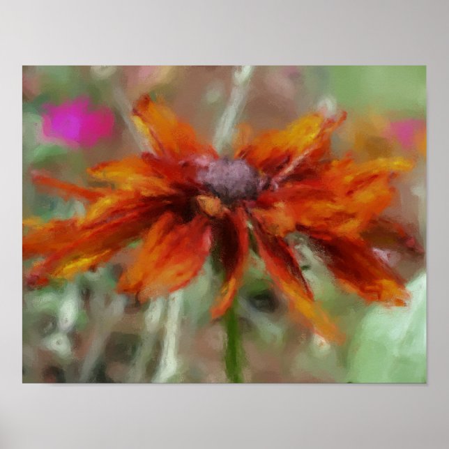Orange Black Eyed Susan Flower Art Poster (Framsidan)