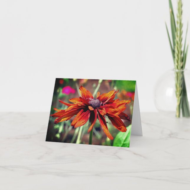 Orange Black Eyed Susan Flower Blank Note Card Tack Kort (Framsida)