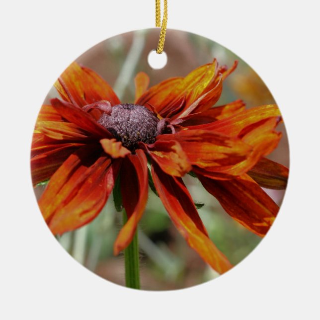 Orange Black Eyed Susan Flower Ornament (Framsidan)