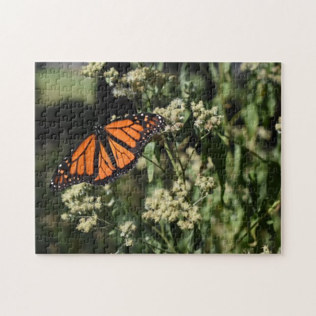 Orange Black Monarch Butterfly Nature Photography Pussel (Horisontell)