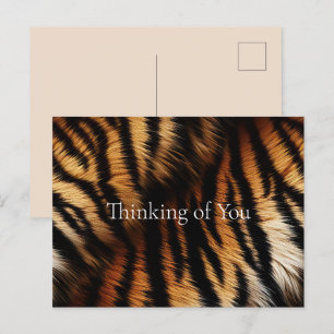 Orange Black Tiger Rand Animal Print Vykort