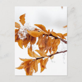 Orange Blad på vinter Vykort