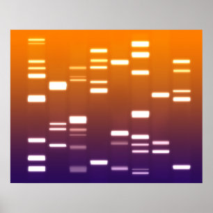 Orange blått för DNA-genetisk kod Poster