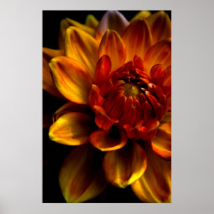 Orange blom poster