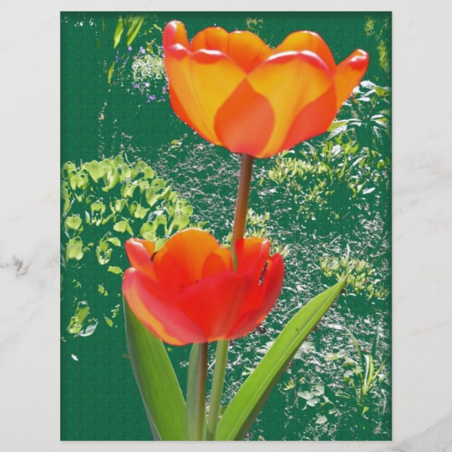 Orange blomma (Framsida)