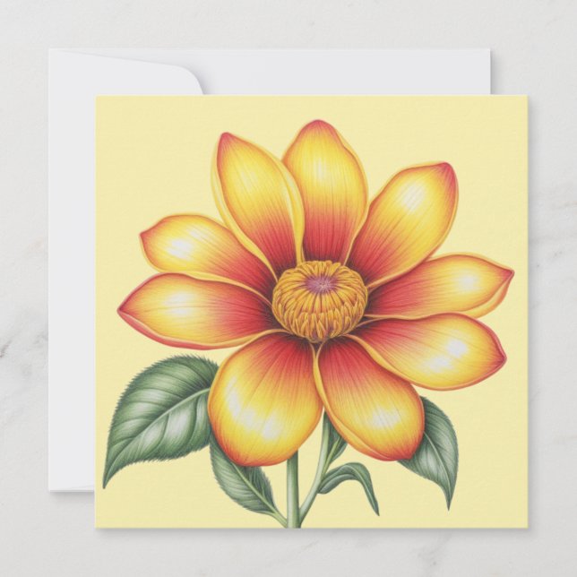 Orange blomma (Framsida)