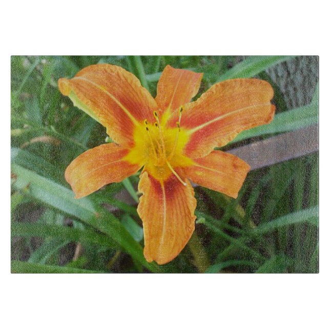 Orange blomma (Framsidan)
