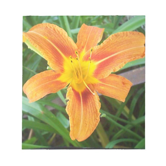 Orange blomma anteckningsblock (Framsida)