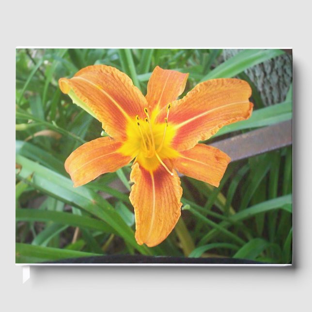 Orange blomma gästböcker (Framsida)