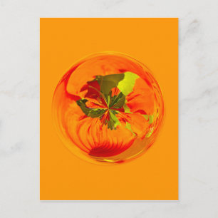 Orange blomma i jorden vykort