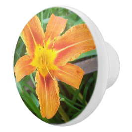 Orange blomma knopp