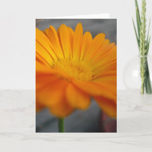 orange blomma kort