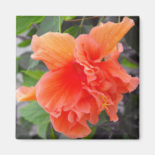 Orange Blomma Magnet