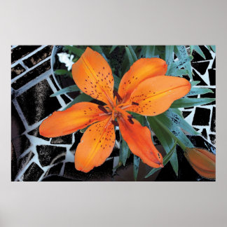 Orange blomma med bakgrund poster