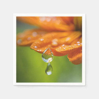 Orange blomma med Dew tappar bakgrundsbild Napkin Pappersservett