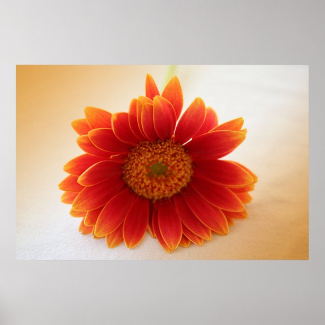 Orange blomma poster (Framsidan)