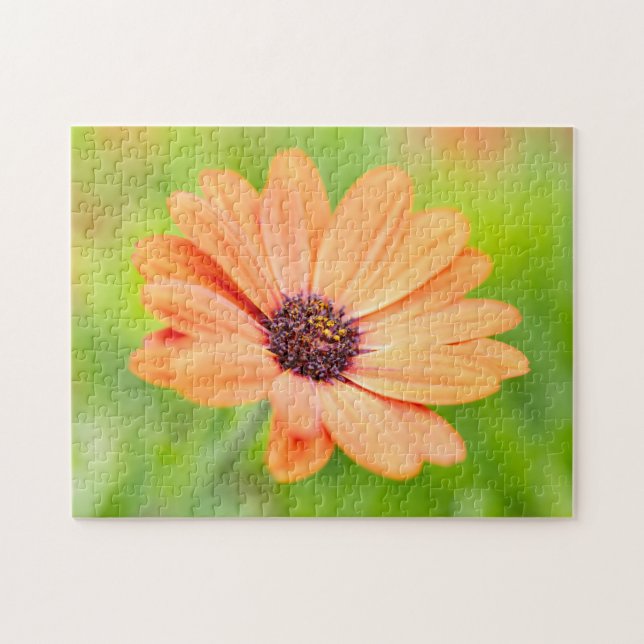 Orange blomma pussel (Horisontell)