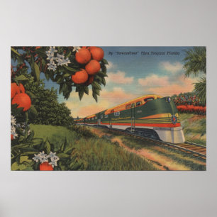 Orange blommarsakkunnig för drev poster