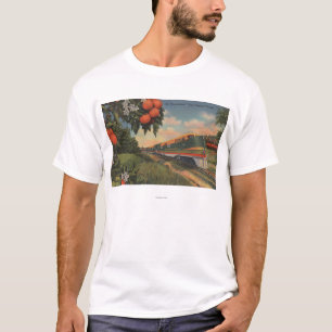 Orange blommarsakkunnig för drev tee shirt