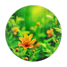 Orange Blommor Bokeh Solig