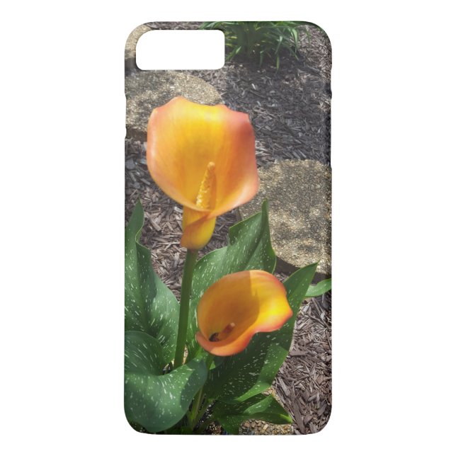 Orange Blommor Fotografi Natur Case-Mate iPhone Skal (Baksida)